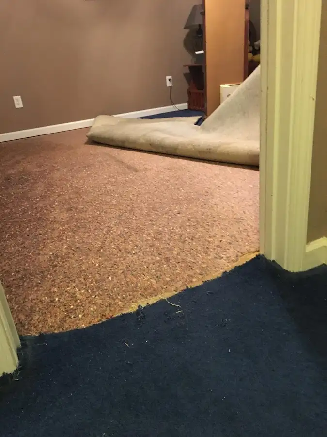 Carpet pad removal revealing water damage during Drying & Dehumidification in Little River