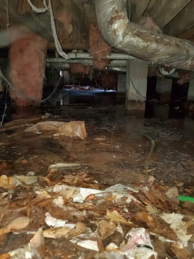 Crawl space flood assessment for Leak Detection & Repair in Little River