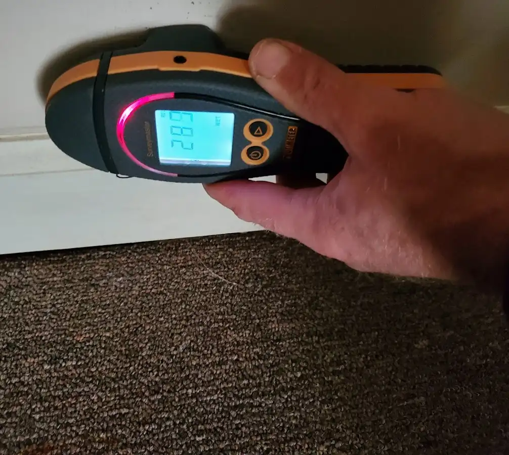 Moisture detection at baseboard during Sewage Cleanup & Sanitation in Little River